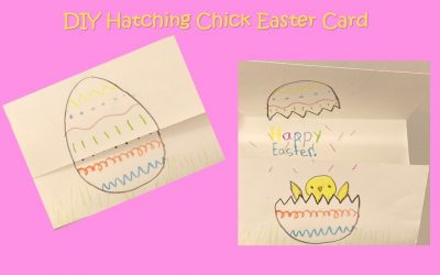 ADORABLE Hatching Chick Easter Card