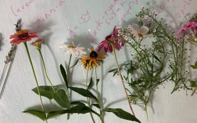 Summer Flower Walk and Other Fun Flower Activities